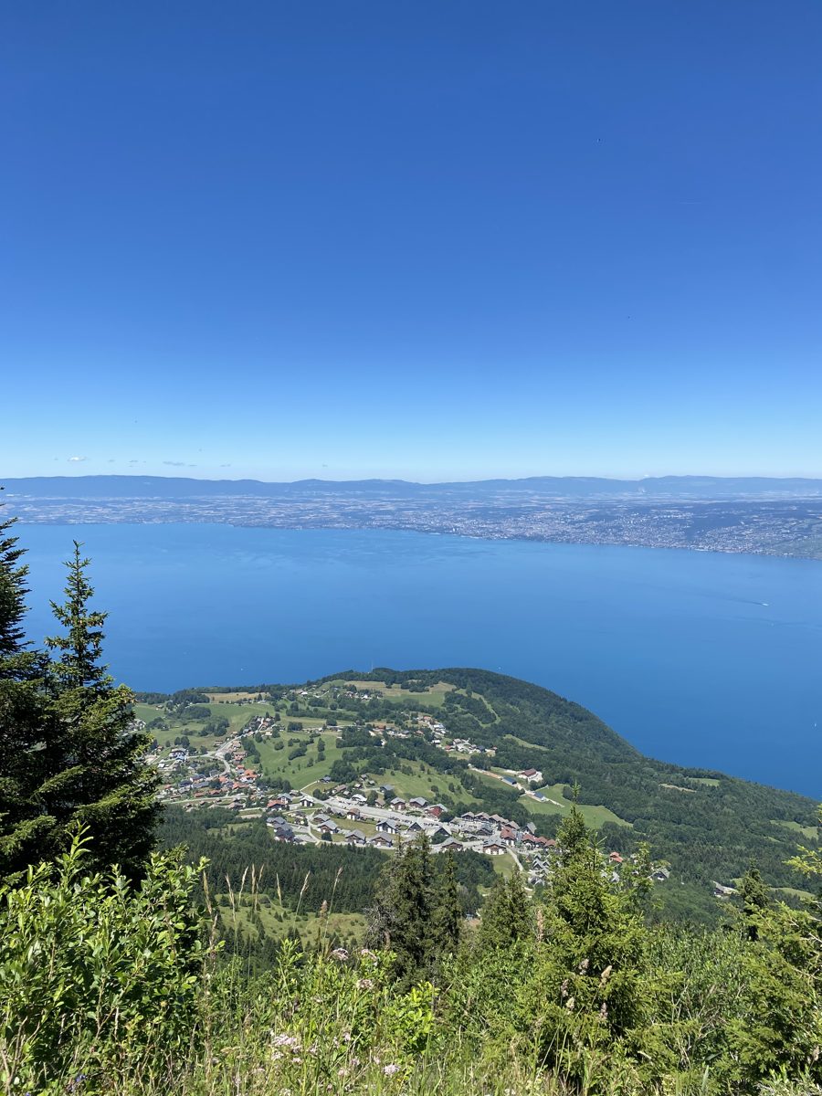 Panorama du lac Léman